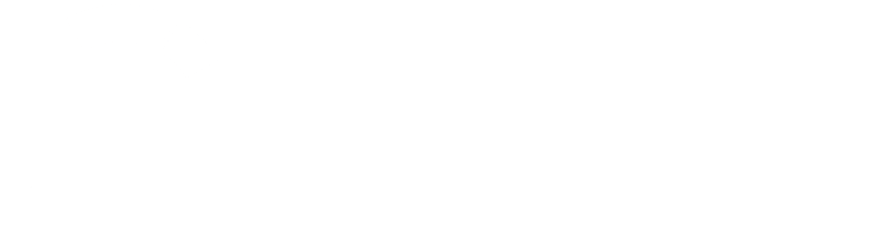 Nätverkshubben Logga